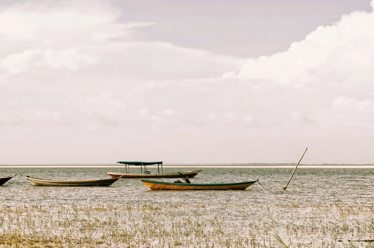 a group of boats in the water