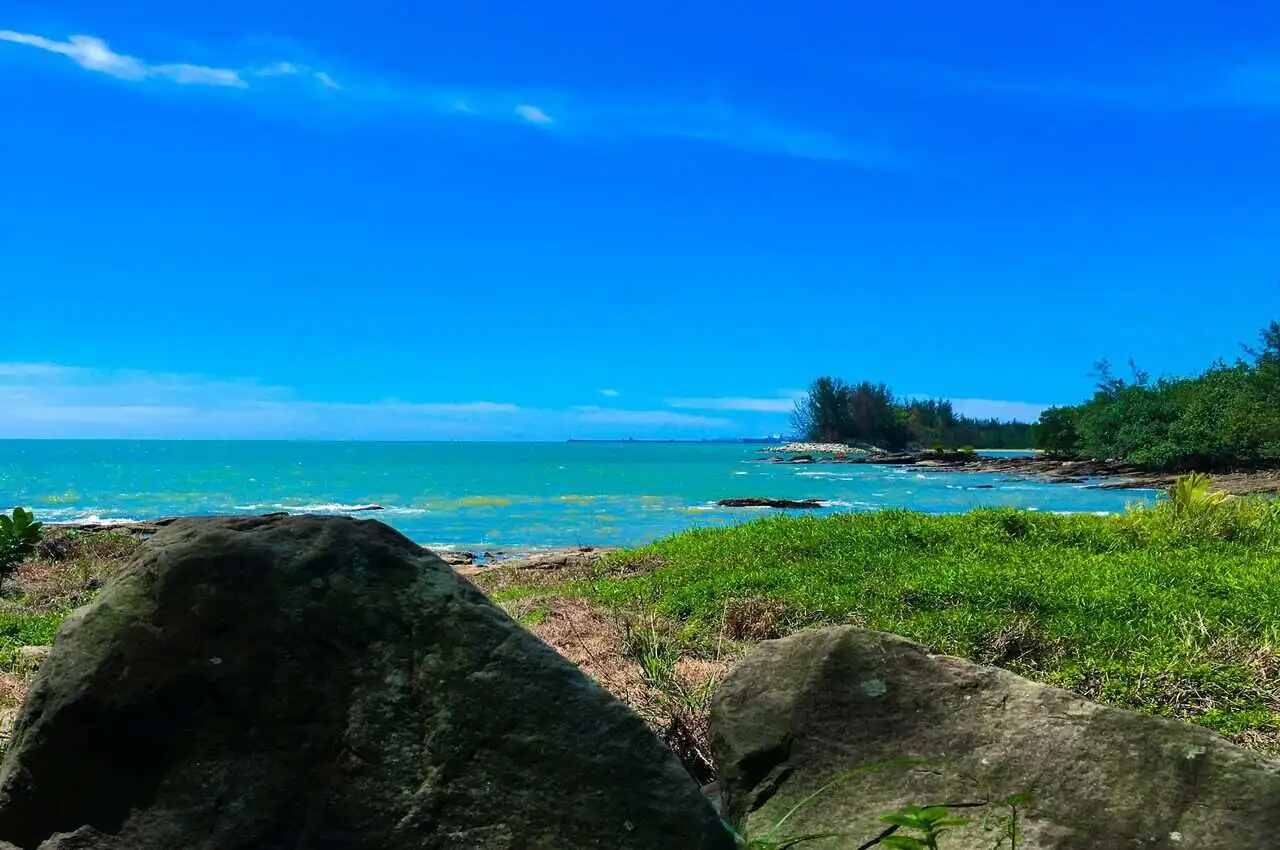 A beach side with greenery on the shore