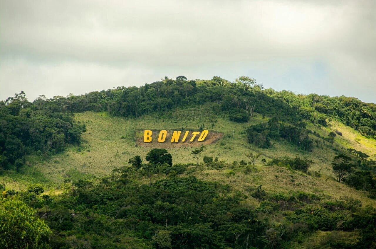 a sign on a hill with trees