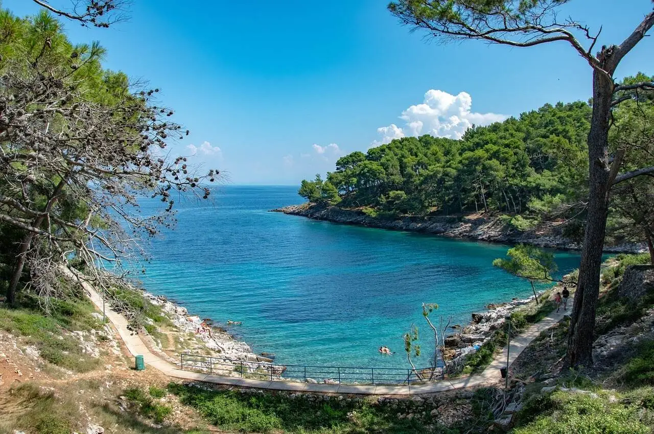 View of the ocean from rocky and green coastline