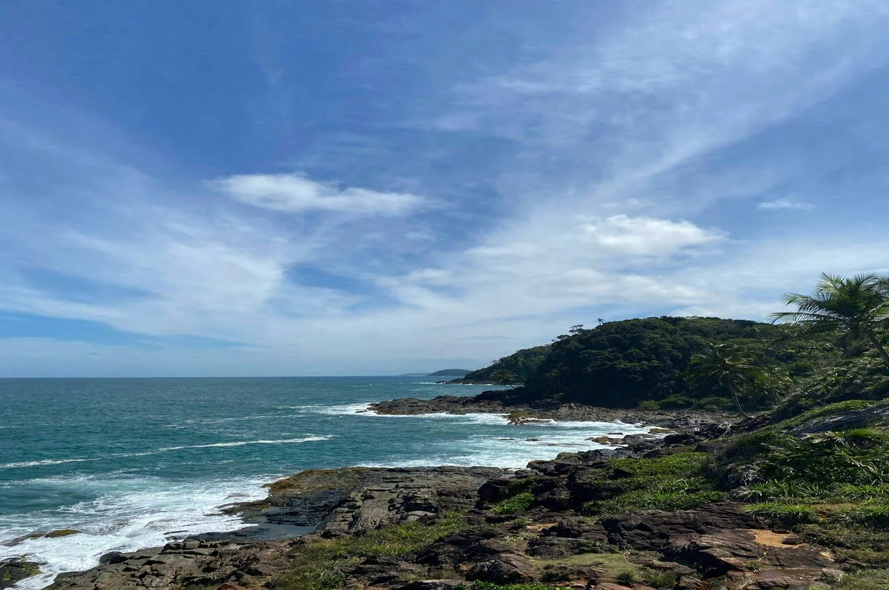 a rocky beach with trees and blue water