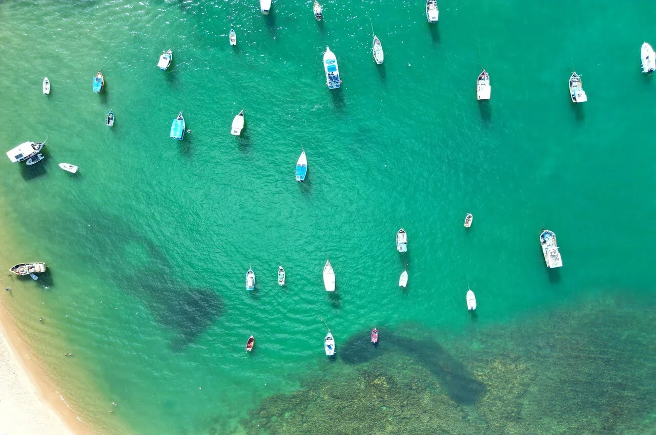 boats in the water