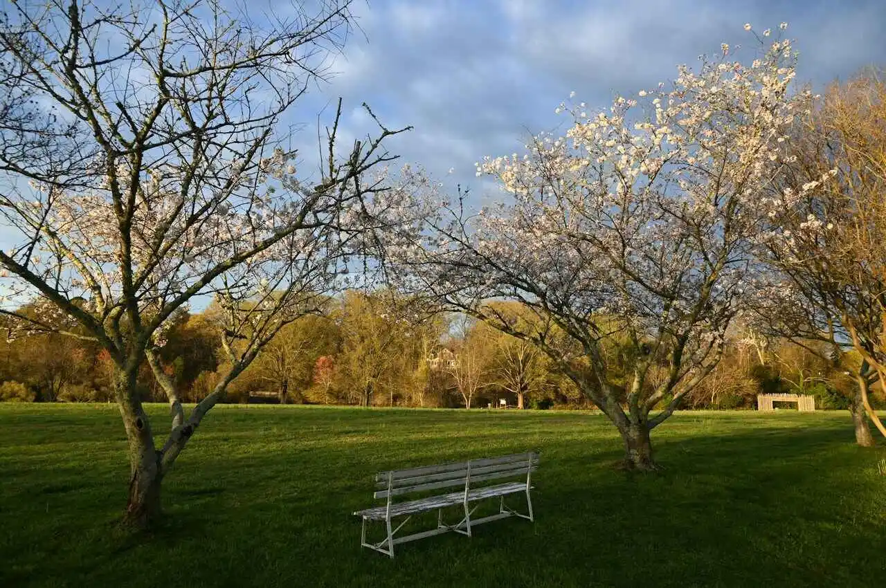 A park with bench in the middle 