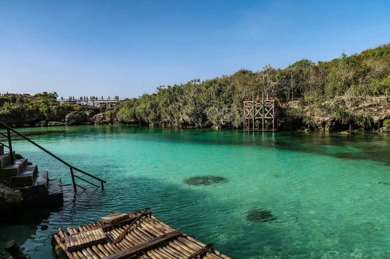 a body of water with a bridge and trees