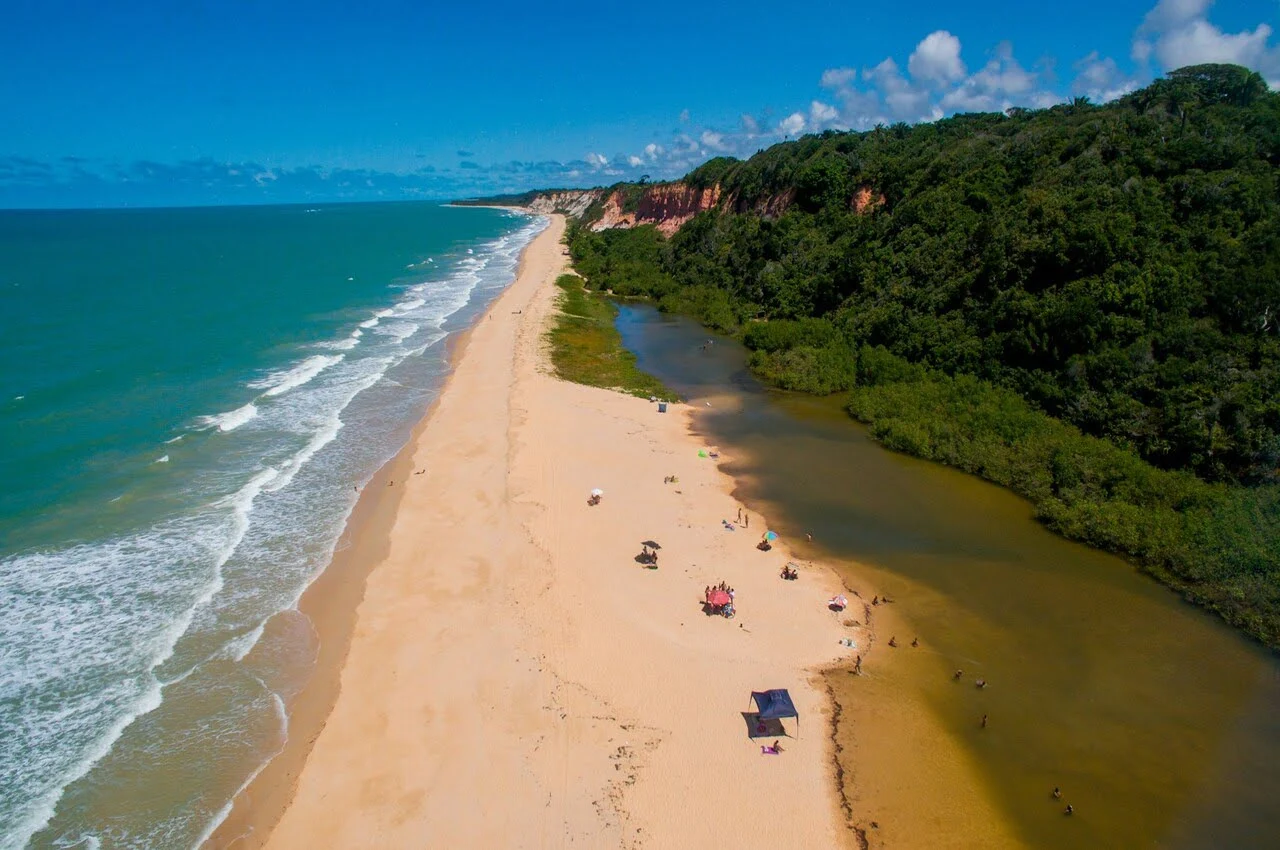 a beach with trees and water