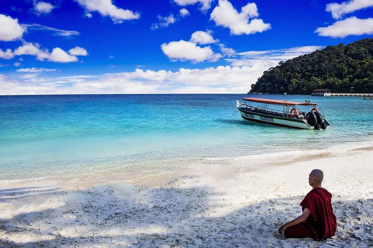 A mink sitting on the beach in George Town