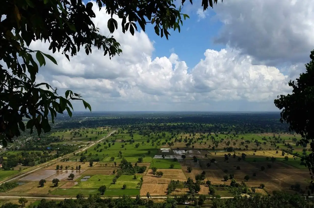 Greenery in Battambang