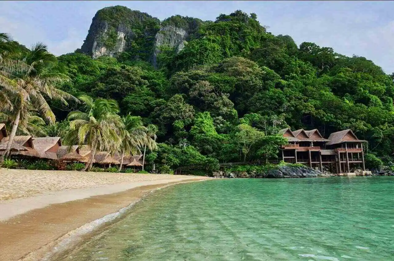 Beach side covered with greenery in Palawan