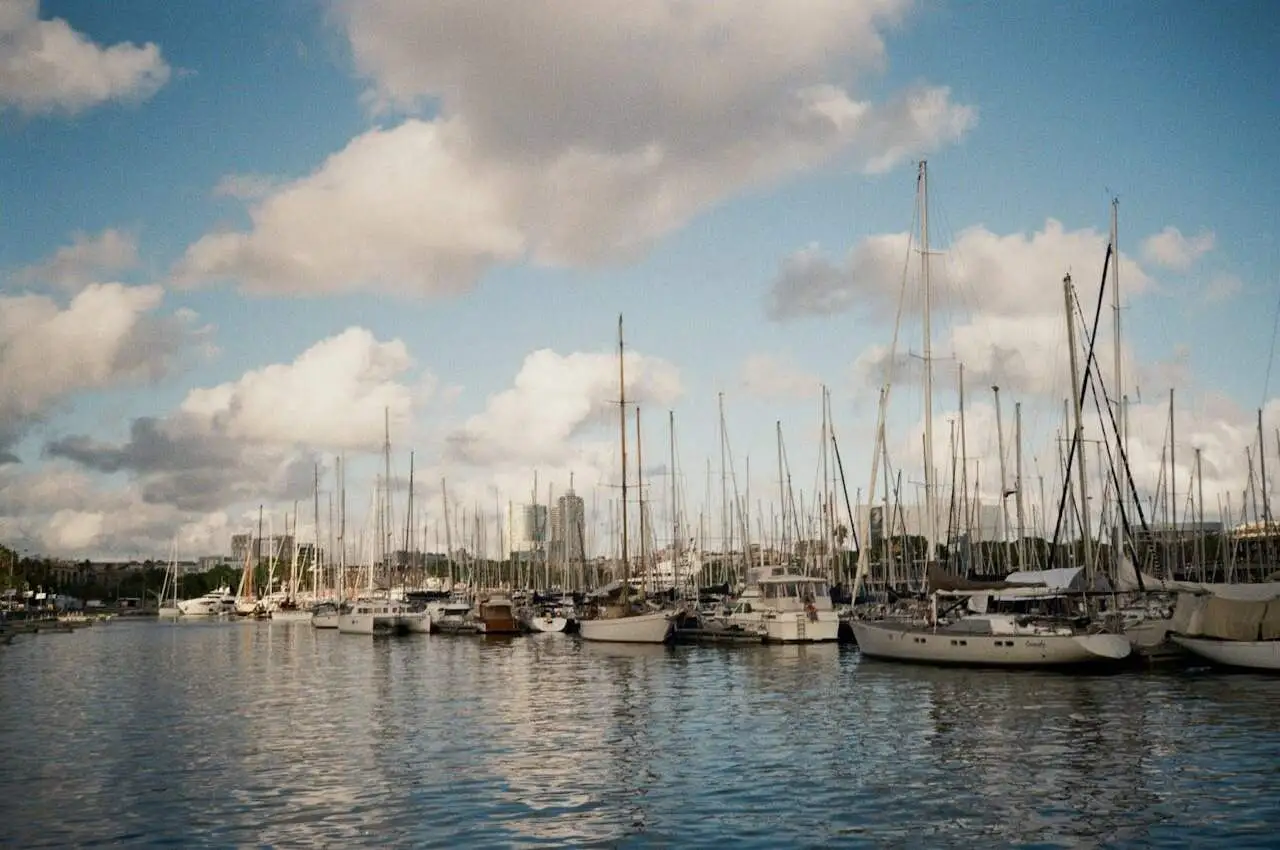 Boats in a marina