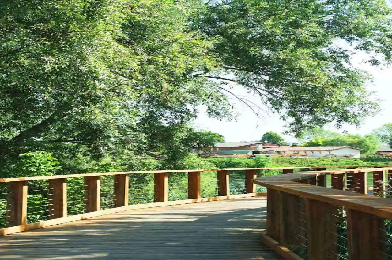 A trail with greenery and houses, on the other side