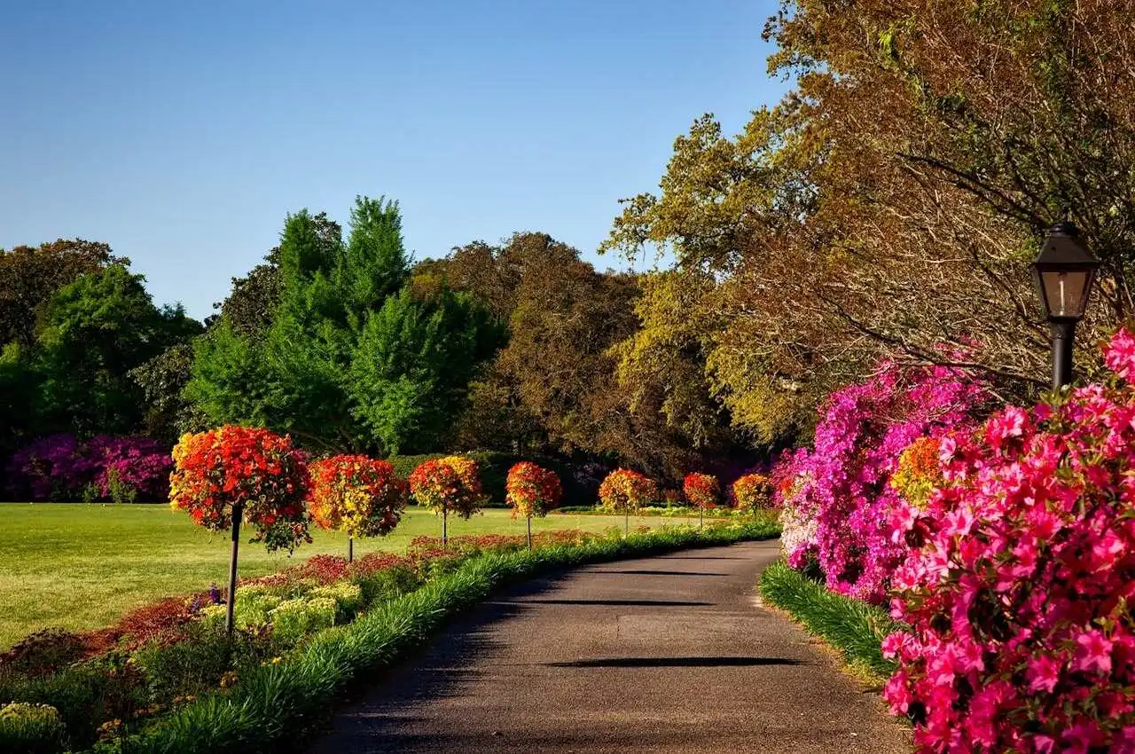 Beautiful garden with flowers and walking area - among hidden gems in Charleston