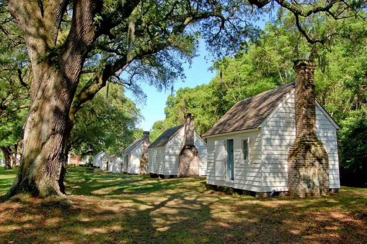 former enslaved quarters and trees in McLeod Plantation Historic Site