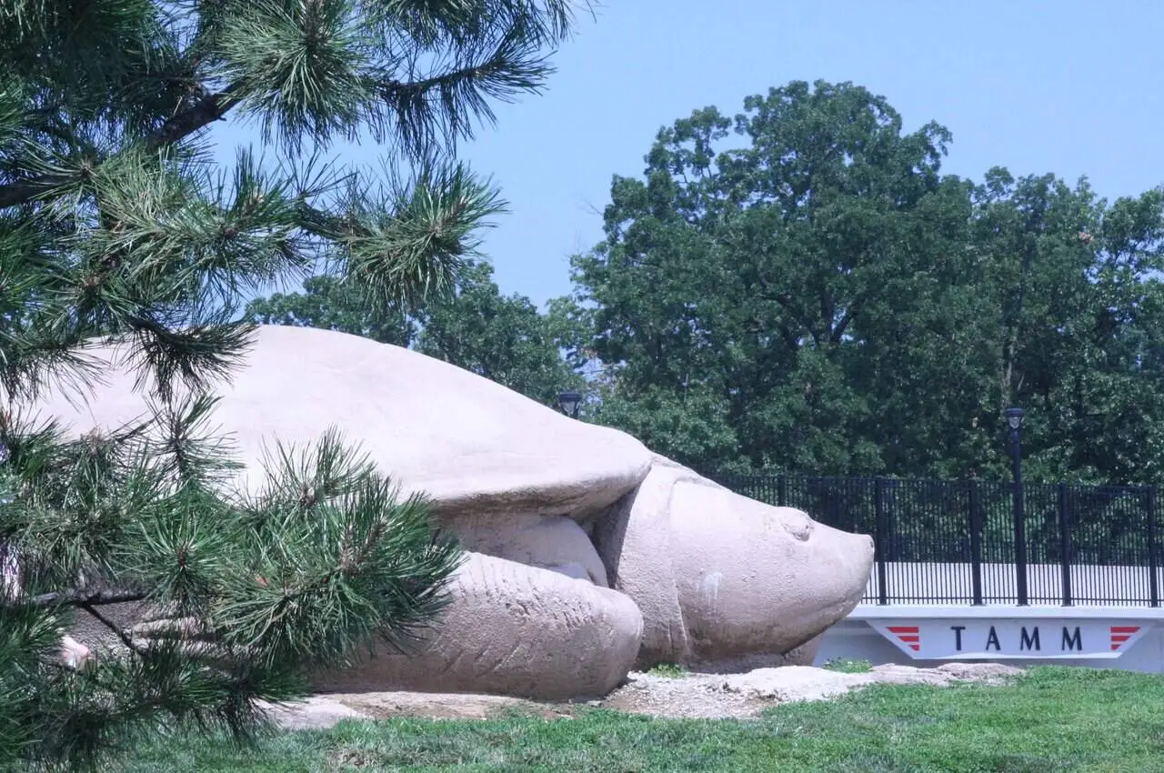 turtle sculpture in park