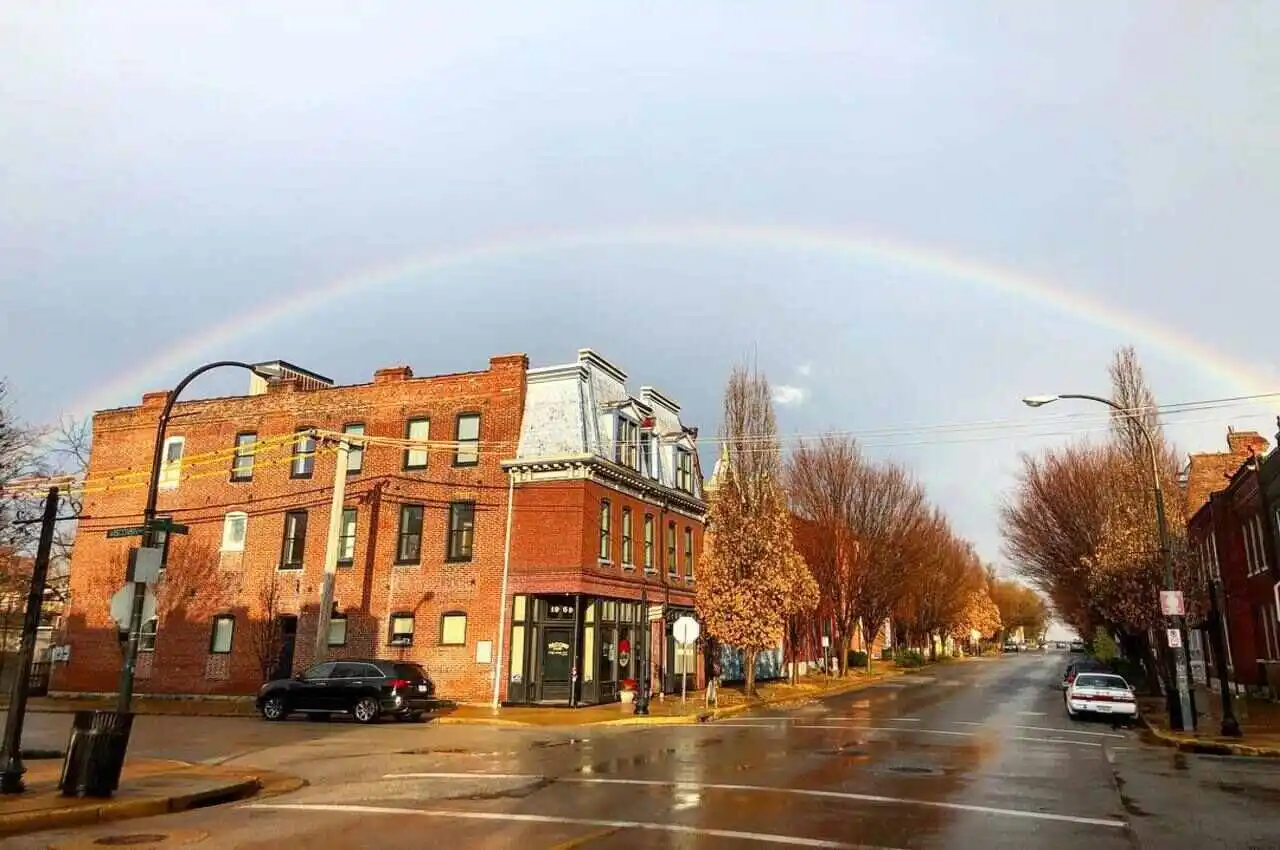 a neighborhood after rain