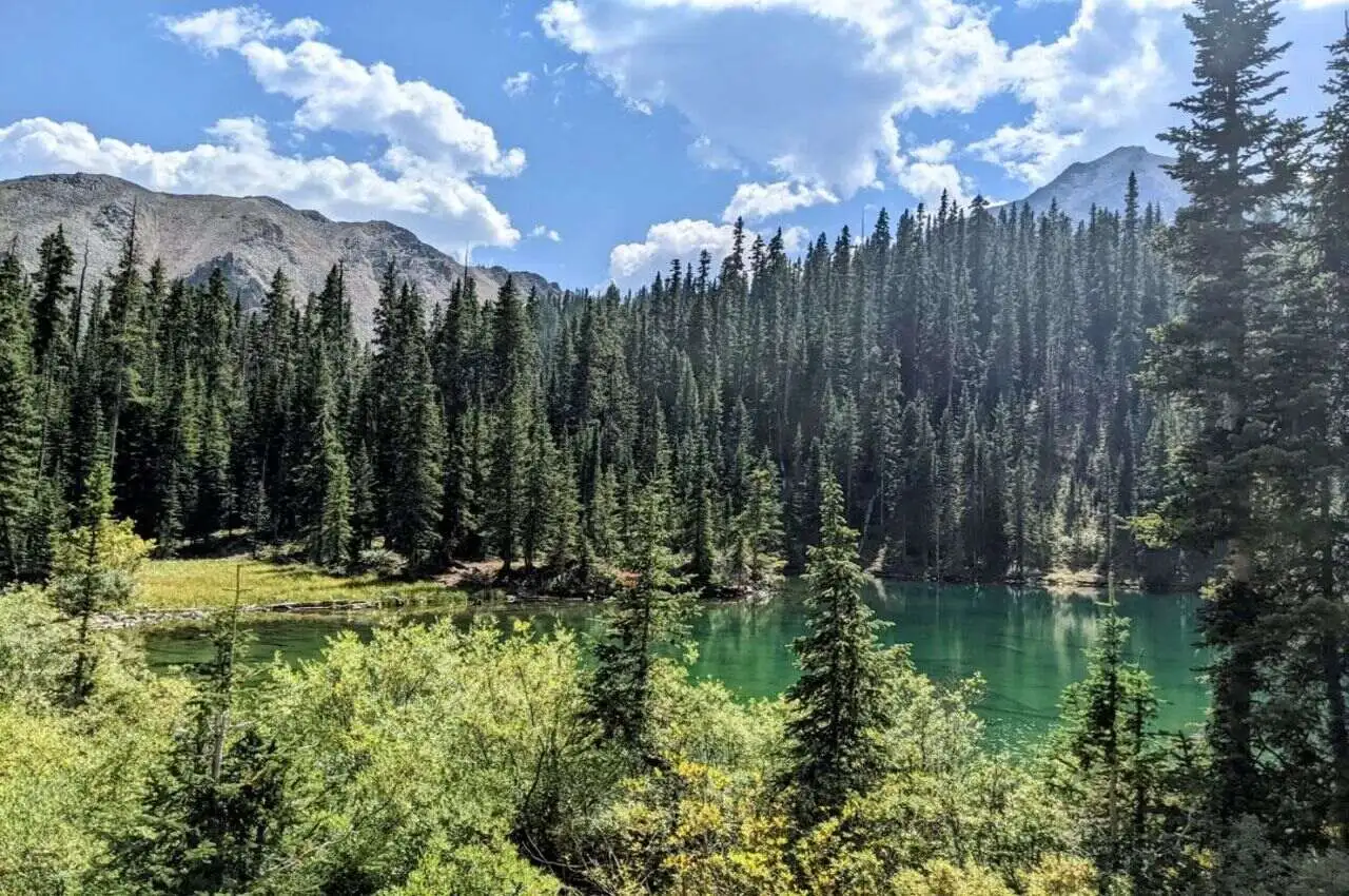 A flowing river surrounded by trees.