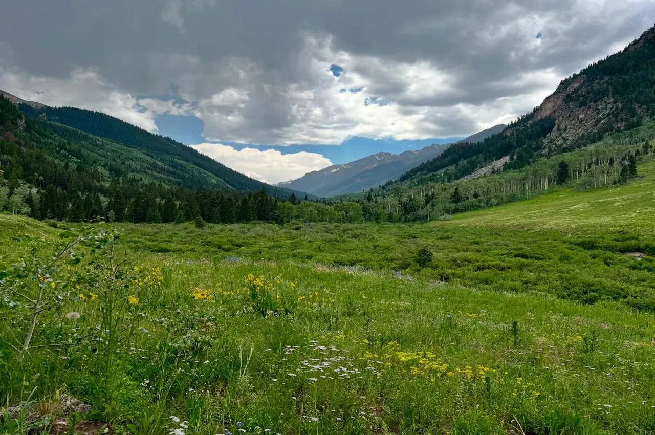 Stunning scenic views with mountains and land covered with grass.