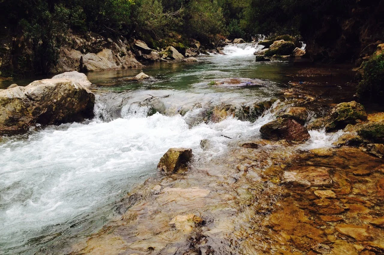 A flowing water creek with rocks on the side.