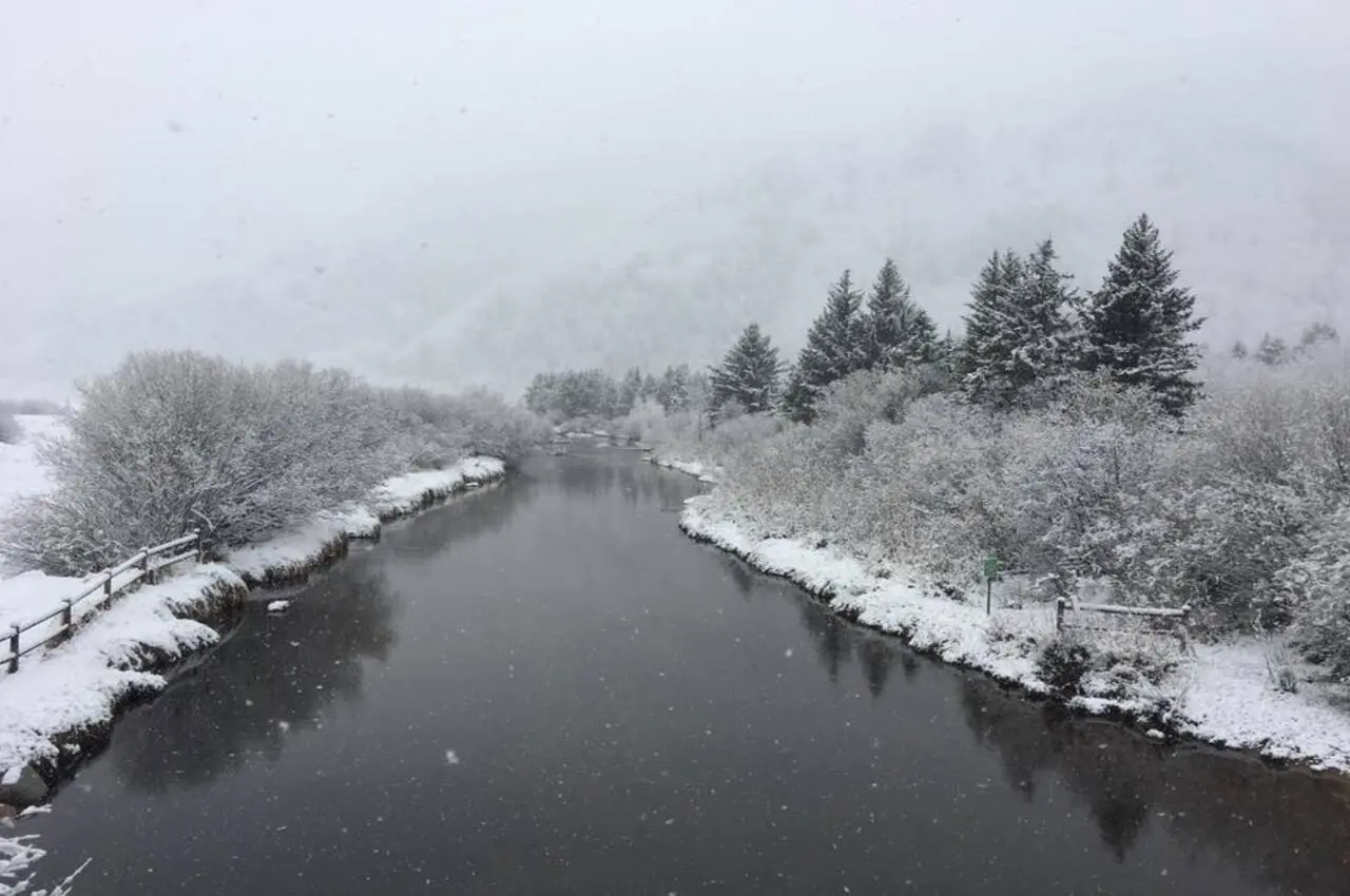 River surrounded by bushes, which are covered with snow.