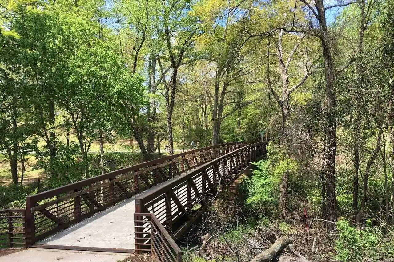 A small bridge in a forest.