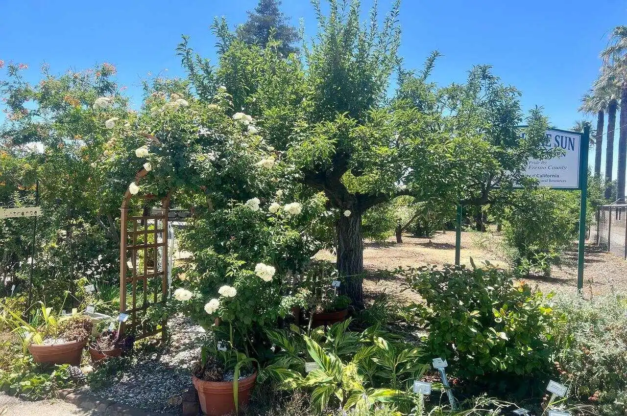 A garden with different flavors, plants, and trees.