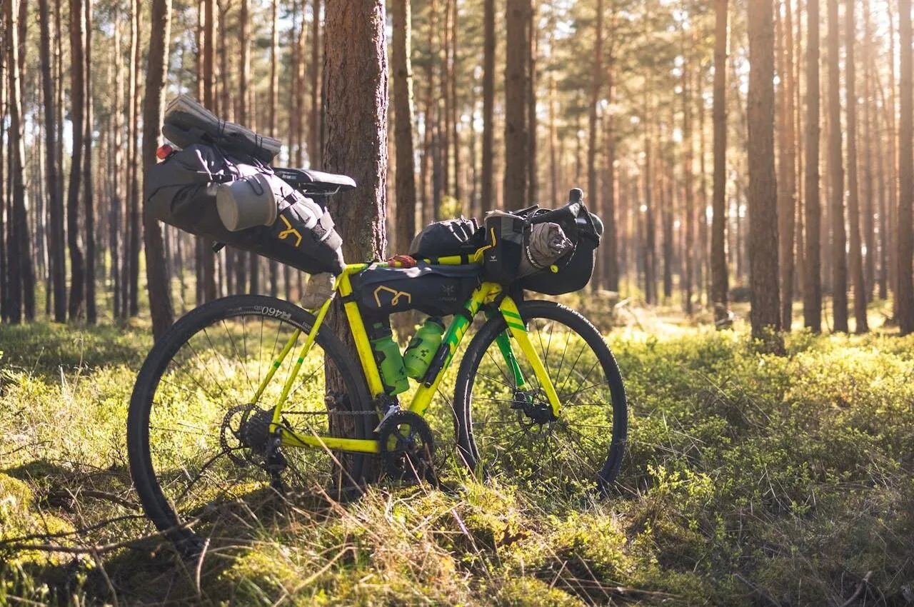 Bicycle standing in the forest.