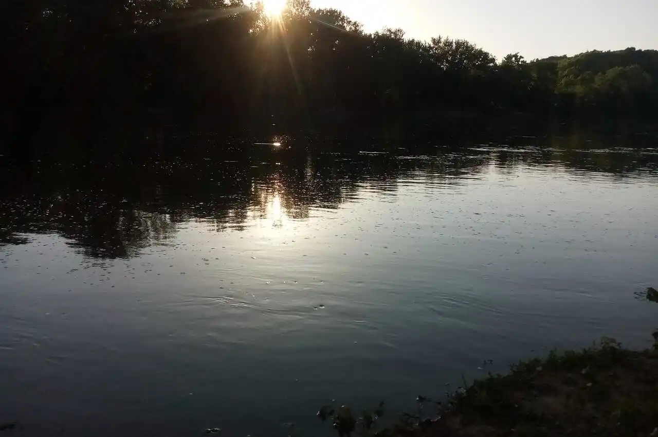 A lake with green bushes on the back
