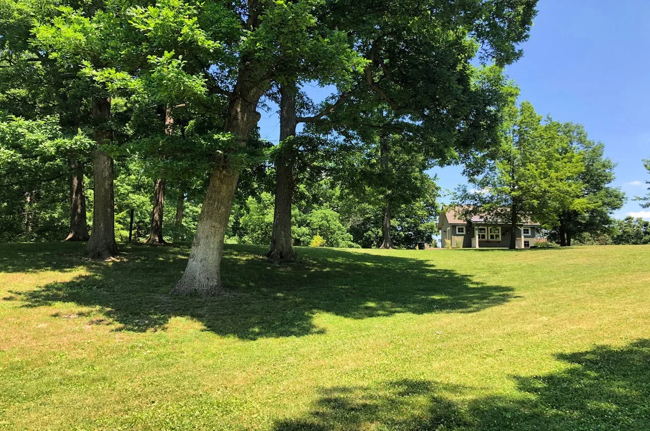 A tree in a park with a restroom on the back.
