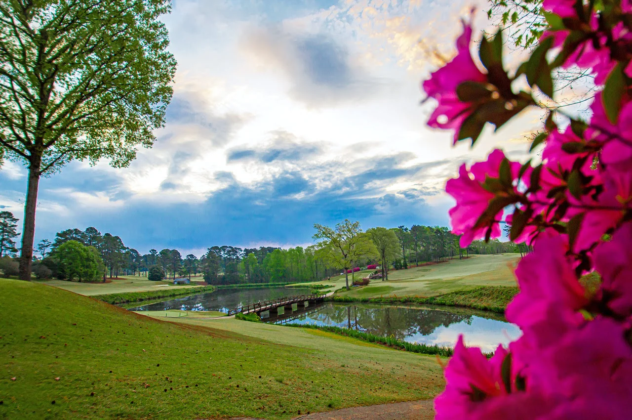 A view of a goal course with a pond.