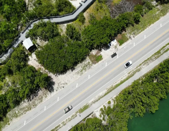 15 Hidden Gems In Venice, Florida With Restaurants