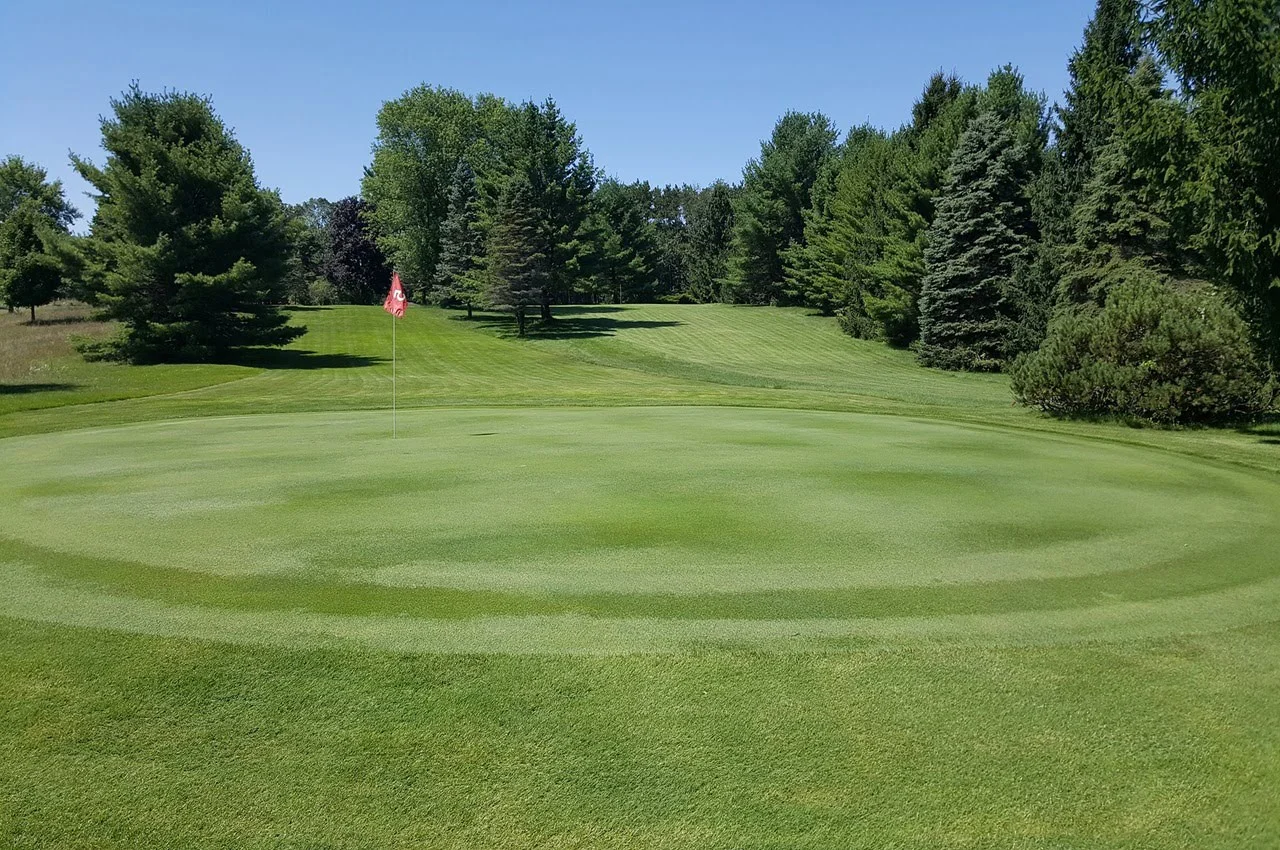 A golf course with trees and a flag in the middle.