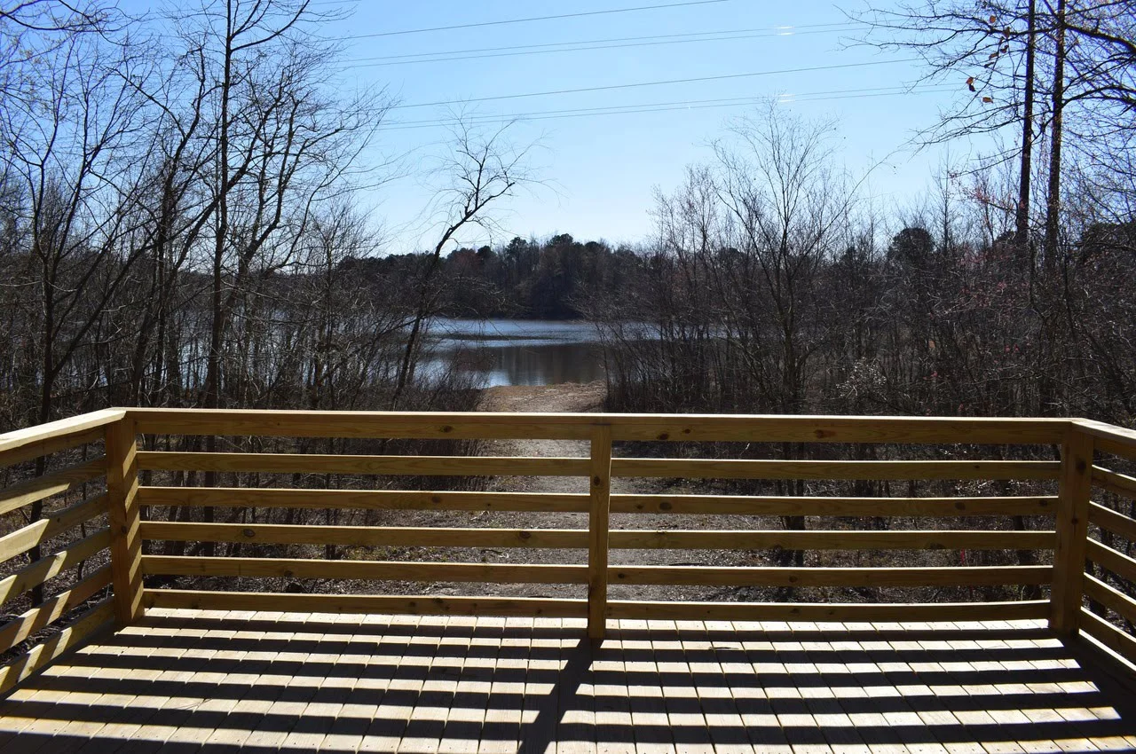 Views of a river from a wooden area.