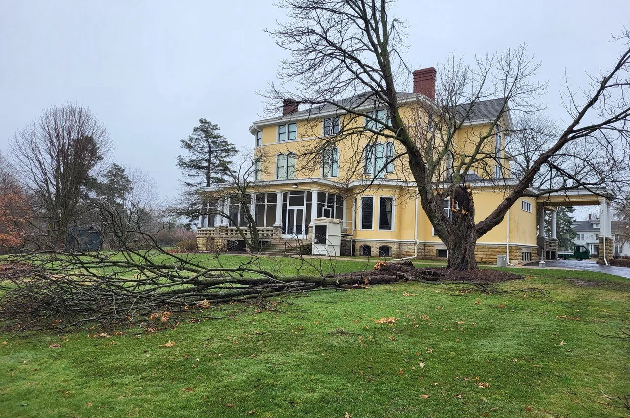 A mansion with a tree lying in front. 