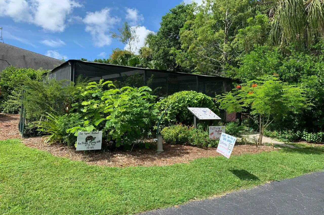 Small plants and trees. Among hidden gems in Cape Coral