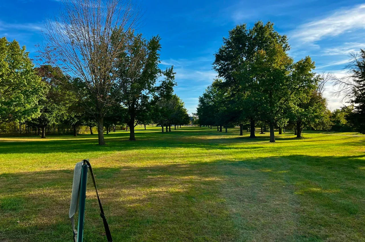 Different trees in a grassy area.