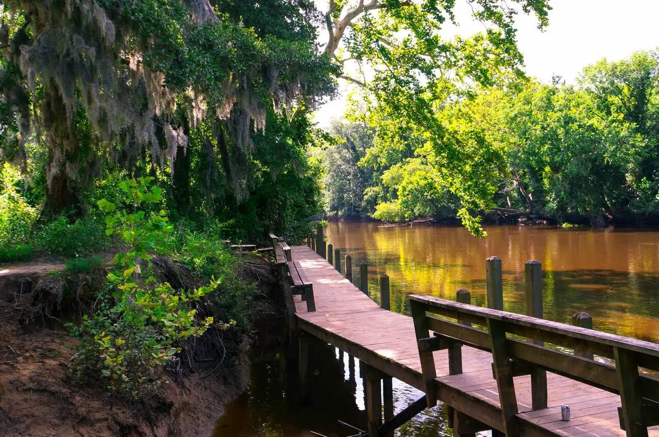 A flowing river with trees on both sides and a wooden pathway.