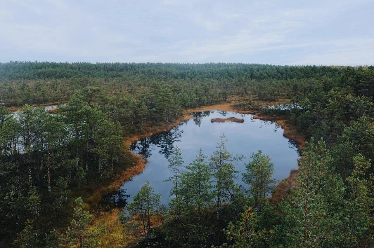 A pond in the middle of a preserve.