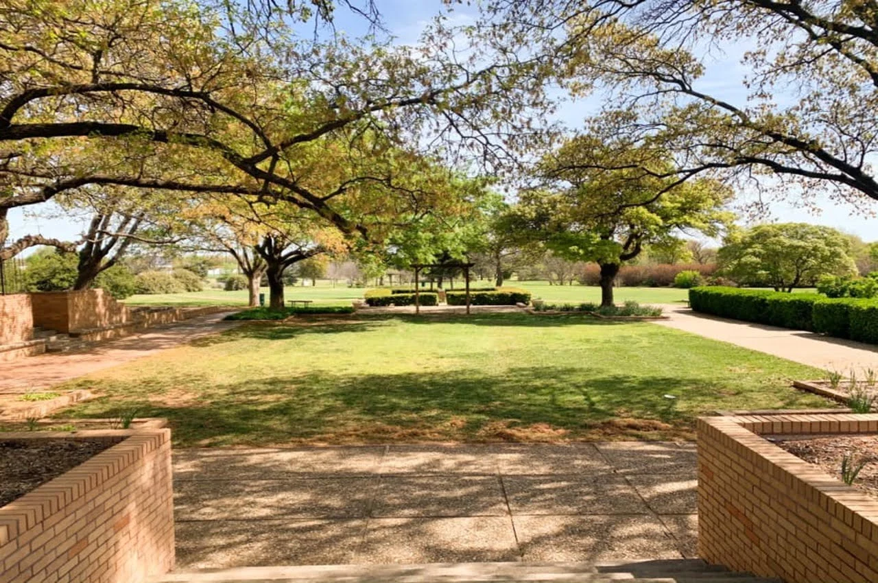 Grass and a tree in a garden.
