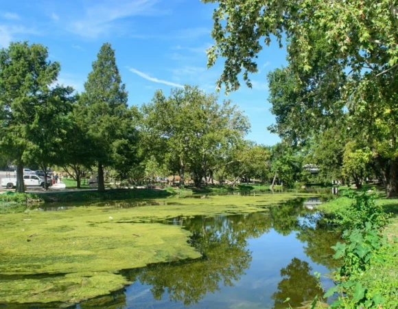 14 Underrated Hidden Gems in Lubbock, Texas