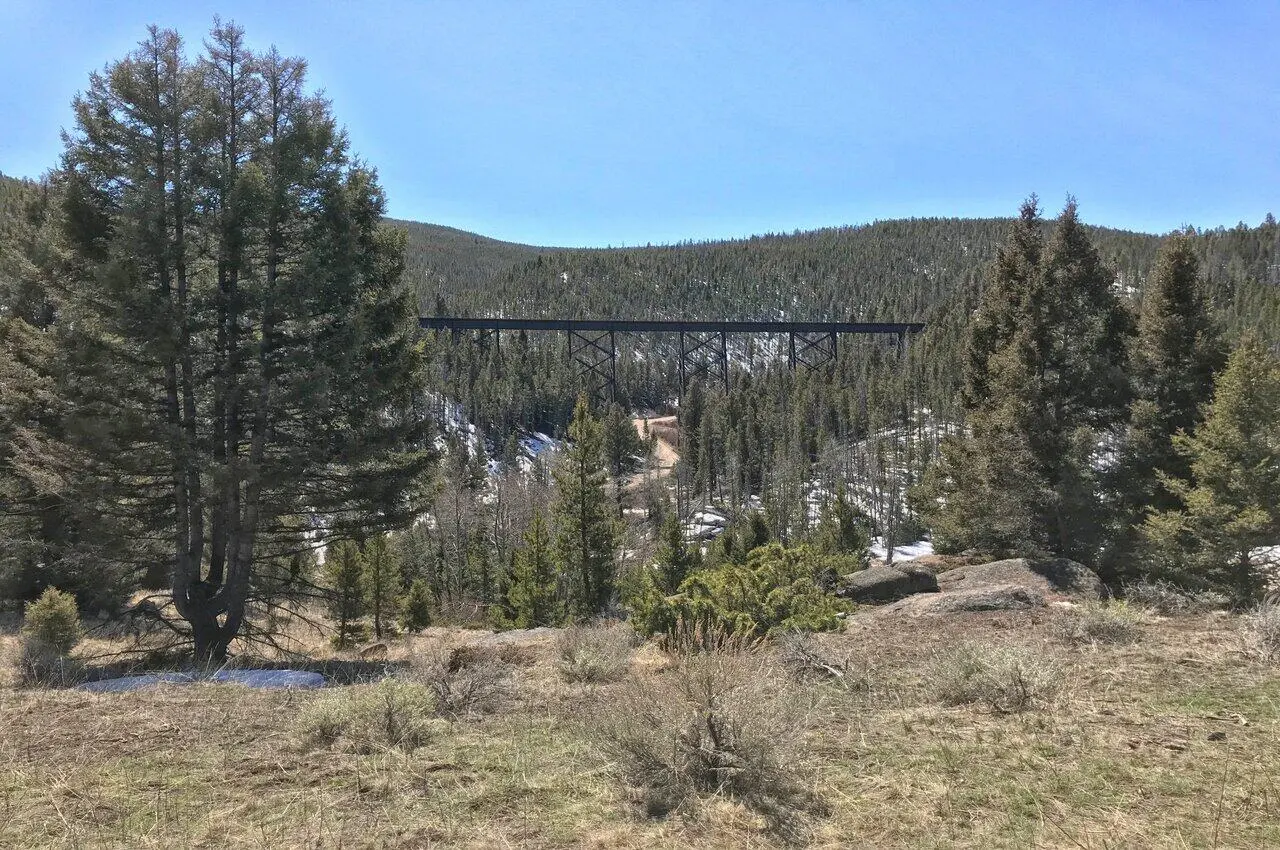 A forest with a bridge in the middle.
