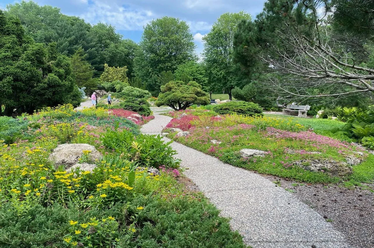 Walking trail in a garden.