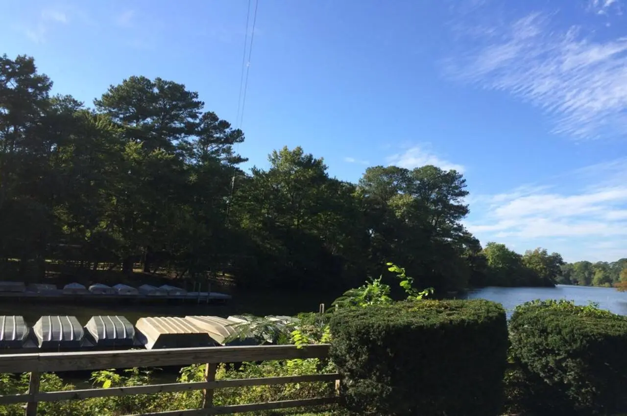 Plants and trees with a river flowing on the right side.