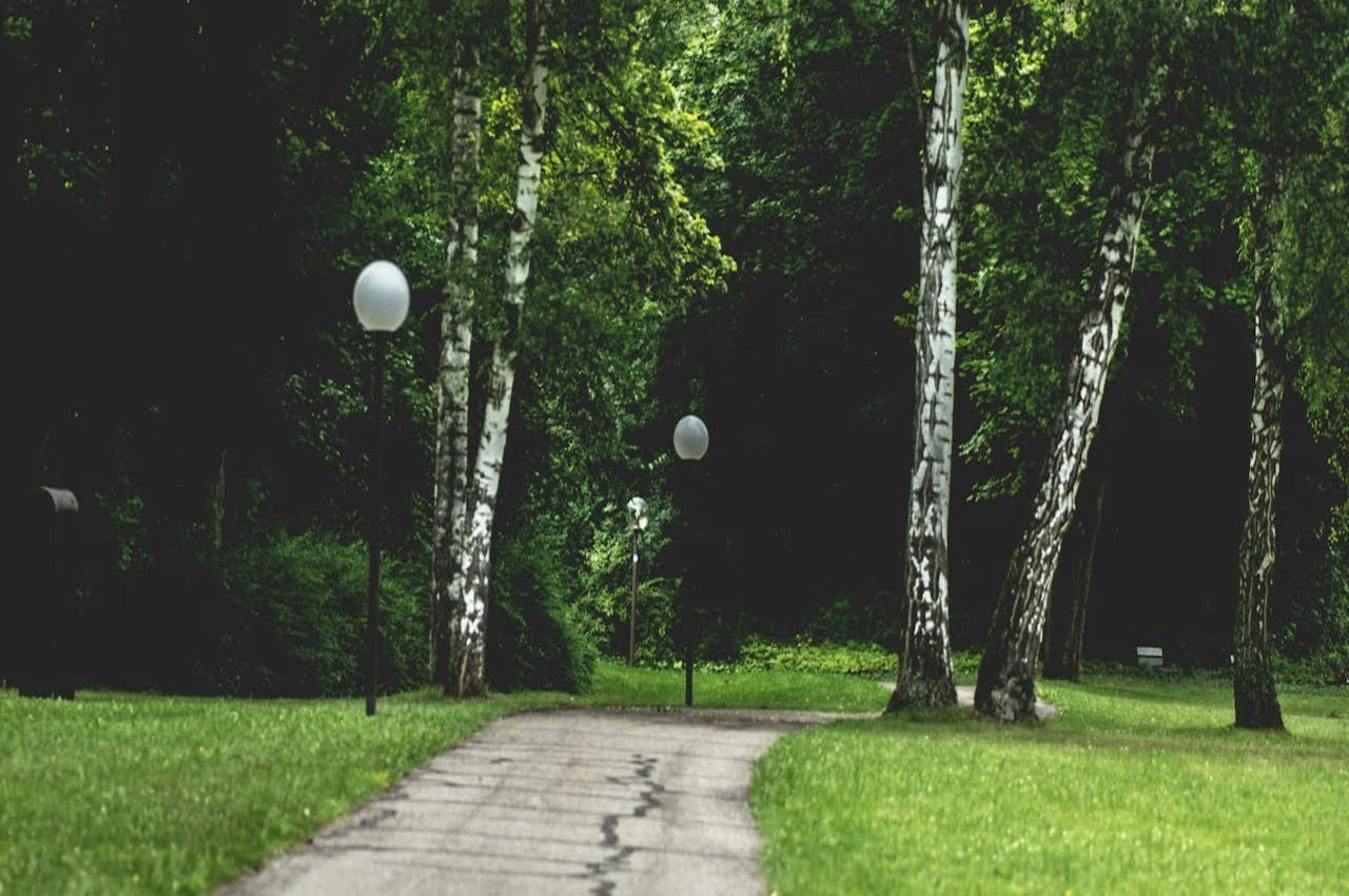 A walking trail in a park.
