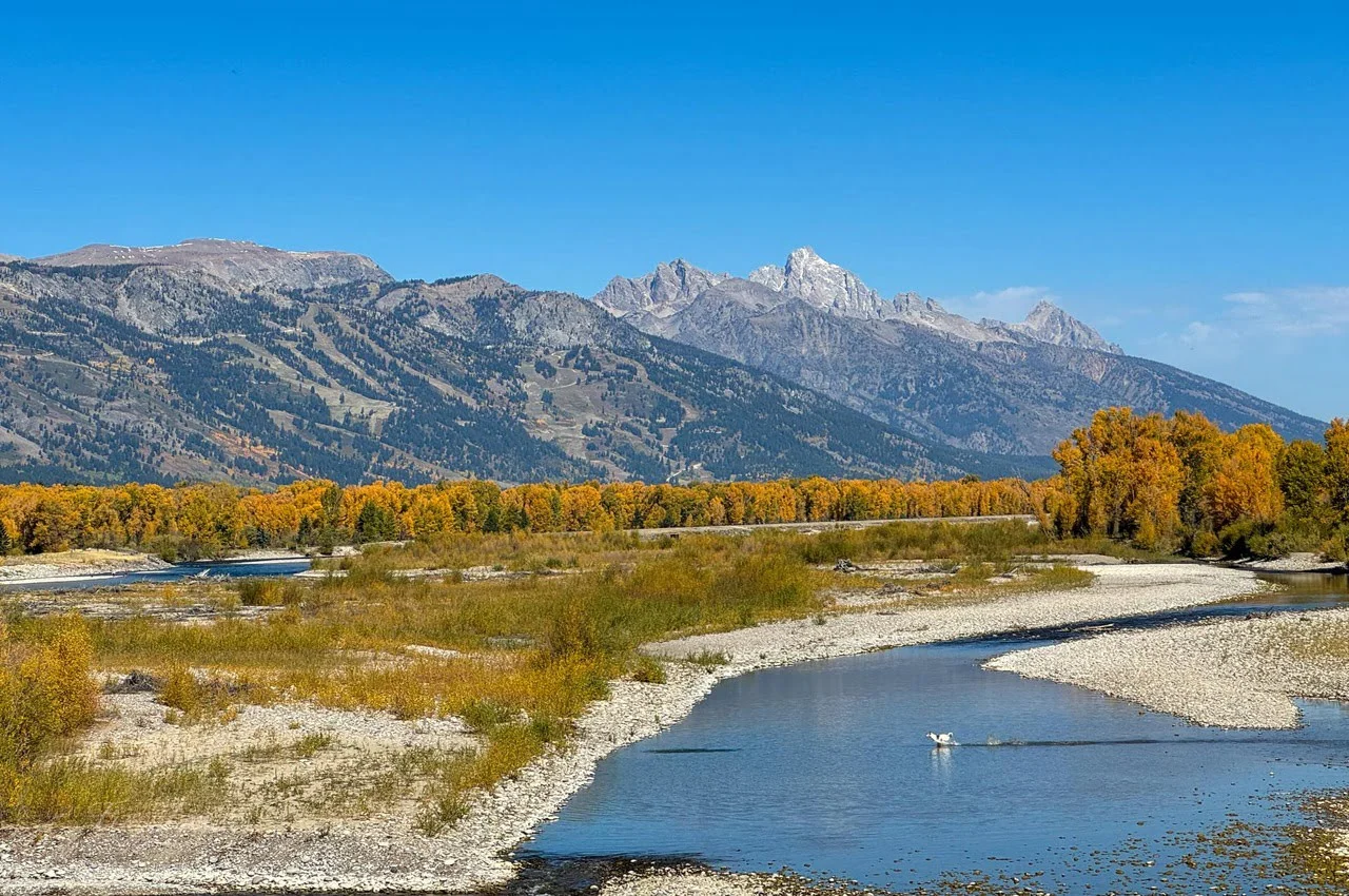 Mountains with a creek and trees in front.