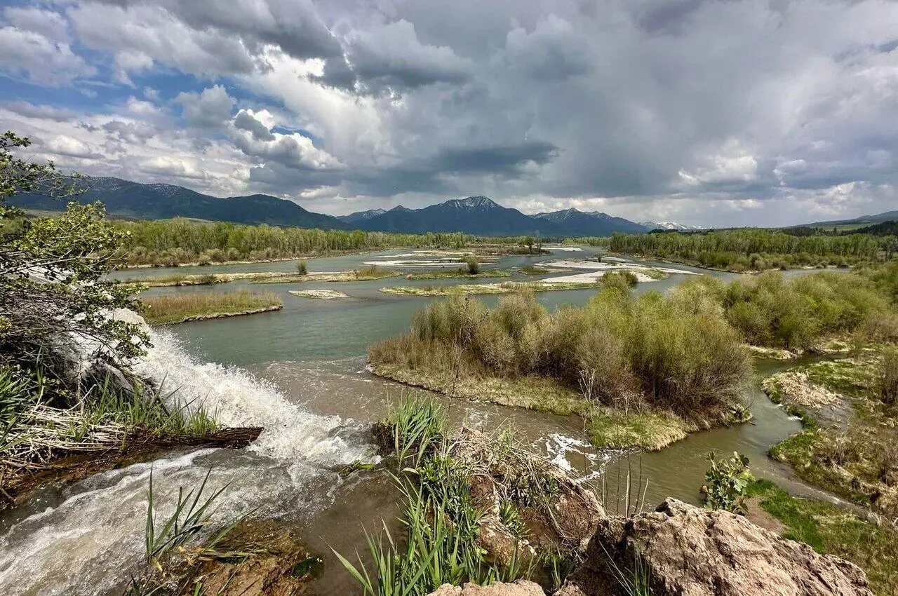 Creeks with mountains and plants nearby.