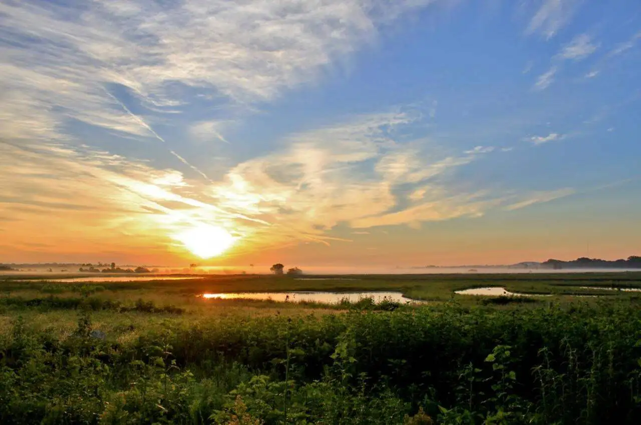 Sunset views from a lush green land with a small pond in the middle.