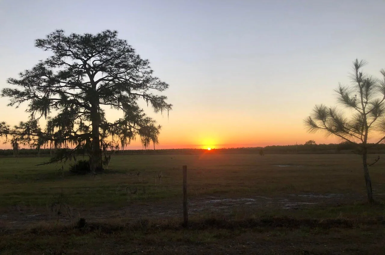 a sunset over a field