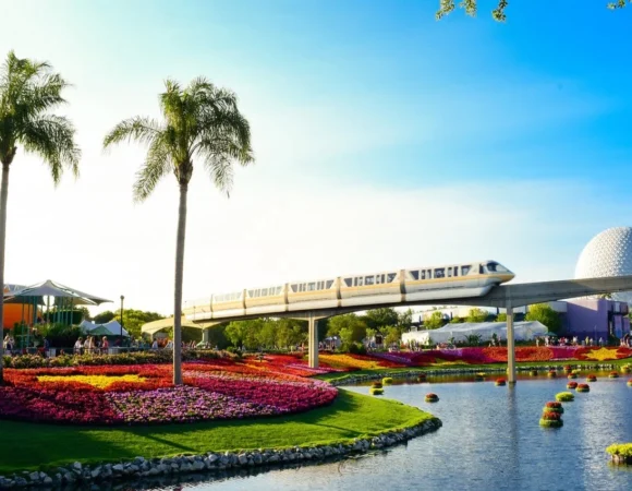 15 Must Visit Hidden Gems in Orlando