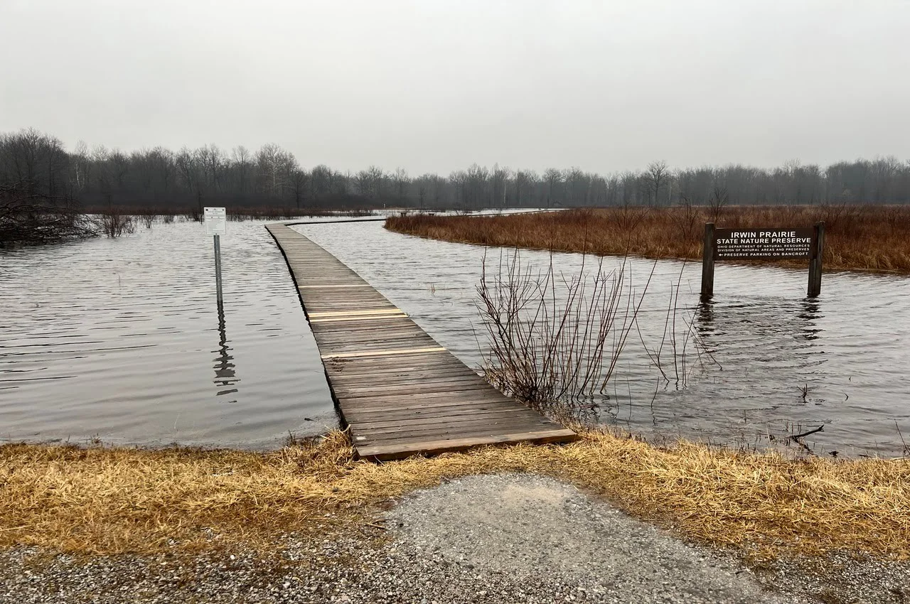 Wet prairie with wooden trail on top.