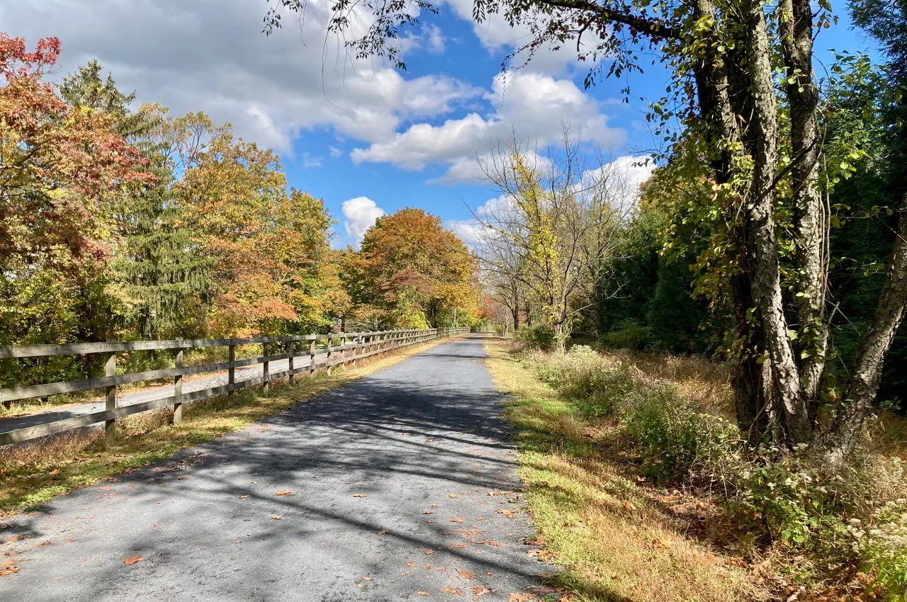 Road with trees on both sides