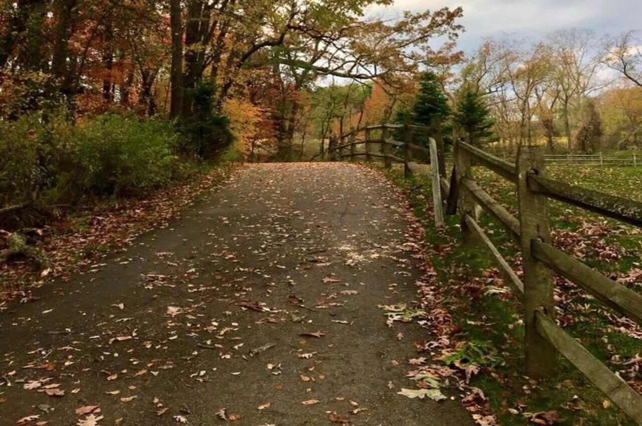 A walking with trees on the side.